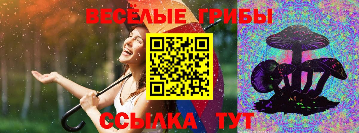 Галлюциногенные грибы мицелий  сколько стоит  Вход с VPN  Асино  Псилоцибиновые грибы MAGIC MUSHROOMS 